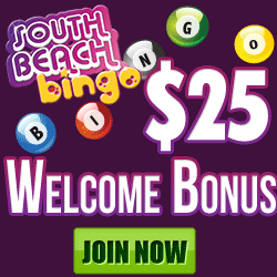 South Beach Bingo