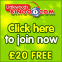 Play Now at Littlewoods Bingo